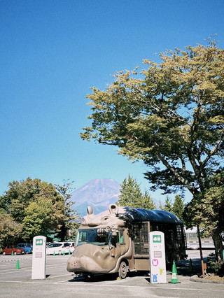 10 Hari 9 Malam Itinerary Tokyo