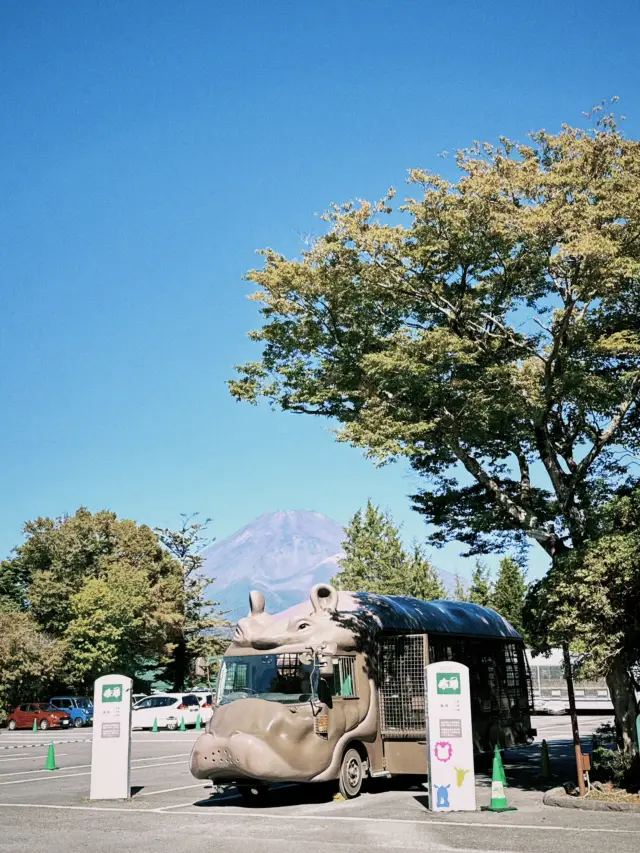 東京10天9夜旅程