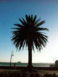 探索墨尔本的艺术心脏：涂鸦小巷全攻略