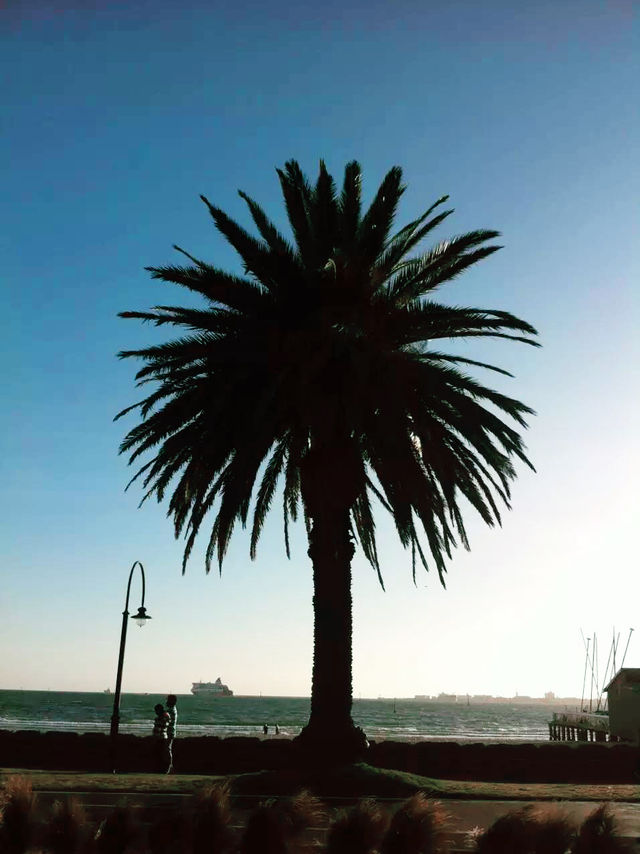 探索墨尔本的艺术心脏：涂鸦小巷全攻略