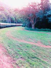 陽光泳池蔭蔽椰樹打卡指南📸