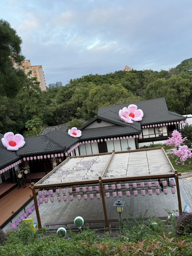 🌍 深圳《世界之窗》一日游:老景点,新体验 ✨ 🌍 深圳《世界之窗》一日游:老景点,新体验 ✨