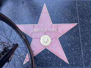 Hollywood Walk of Fame, Santa Monica Beach, Los Angeles, USA