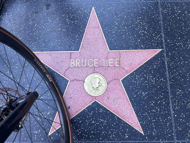 美國洛杉磯 好萊塢星光大道 聖塔摩尼卡海灘