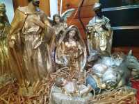 🎄It's Always Christmas Here!🎄