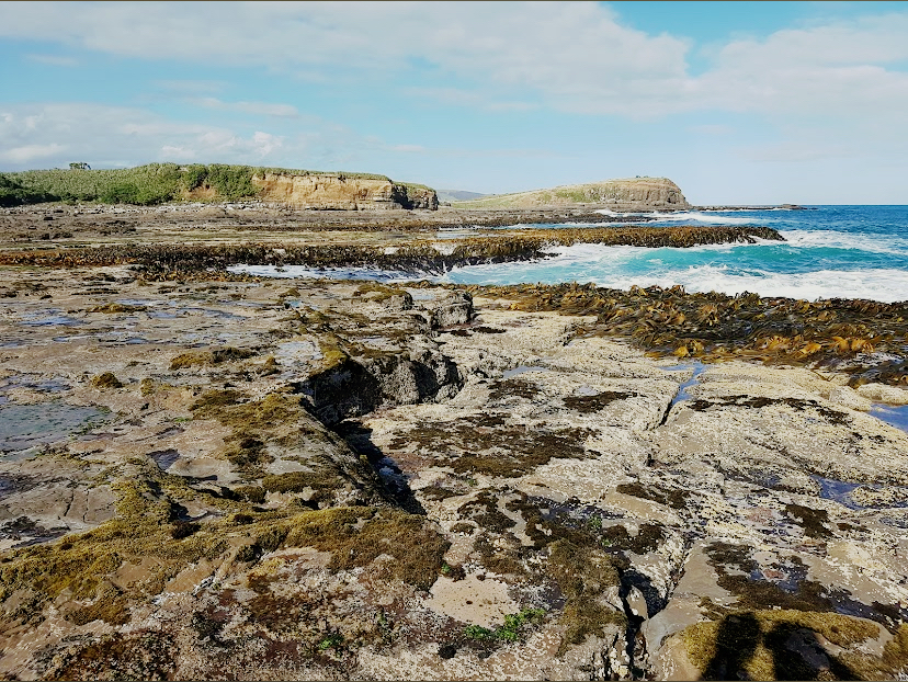 Fossil Shores & Ocean Grace