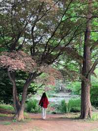 札幌初夏兩日散步：把晴天、海膽與限定 T 都帶回家