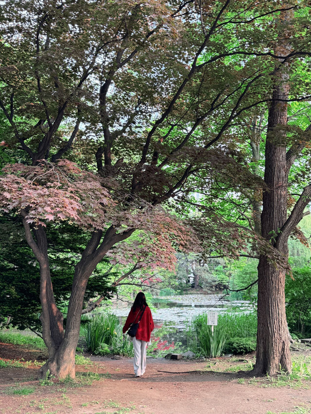 札幌初夏兩日散步：把晴天、海膽與限定 T 都帶回家