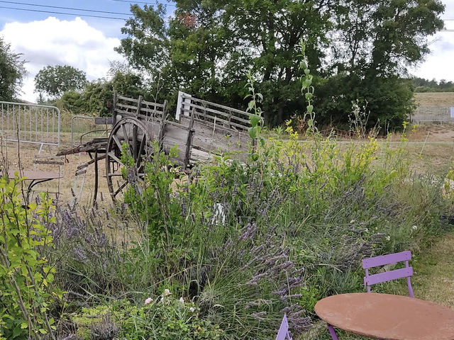 La Ferme aux Lavandes La Ferme aux Lavandes