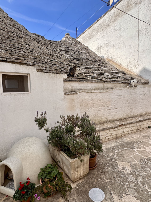 돌지붕이 춤추는 도시, 알베로벨로의 매력