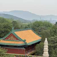 Summer Zen Views 🌞