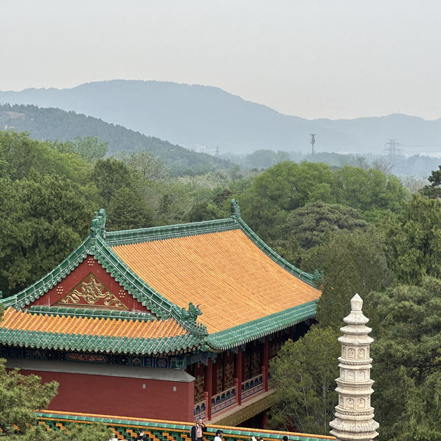 Summer Zen Views 🌞 Summer Zen Views 🌞