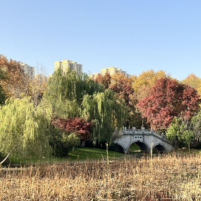 🌞 My One-Day Wuhan Itinerary: Hubei Museum + East Lake Done Right 🌞 My One-Day Wuhan Itinerary: Hubei Museum + East Lake Done Right