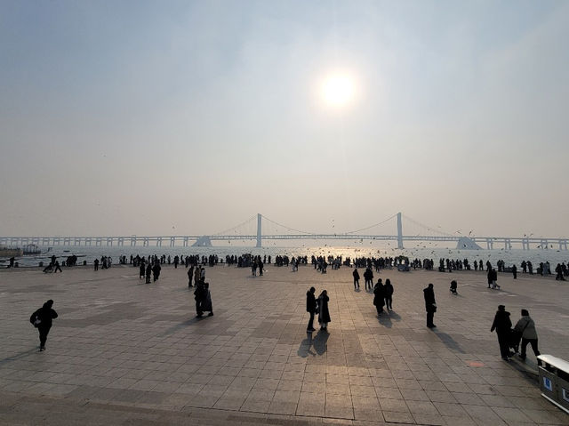 다롄 3박 4일 자유여행 꿀팁 다롄 3박 4일 자유여행 꿀팁