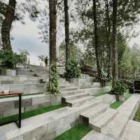 Mist & Morning Brews