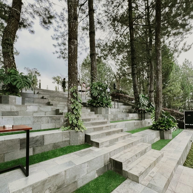 Mist & Morning Brews Mist & Morning Brews