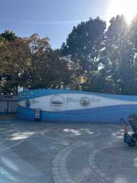 🌊 北外灘航海公園|最外灘天際線的散步視角