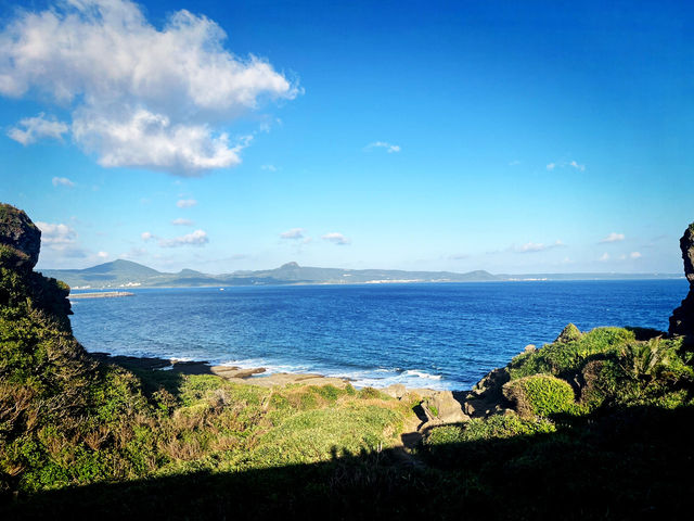 🎄 Festive Escape: Relax at Cat Nose Head 🎄 Festive Escape: Relax at Cat Nose Head