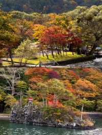 深秋絕景!十和田湖游船仿佛駛入油畫世界🍁