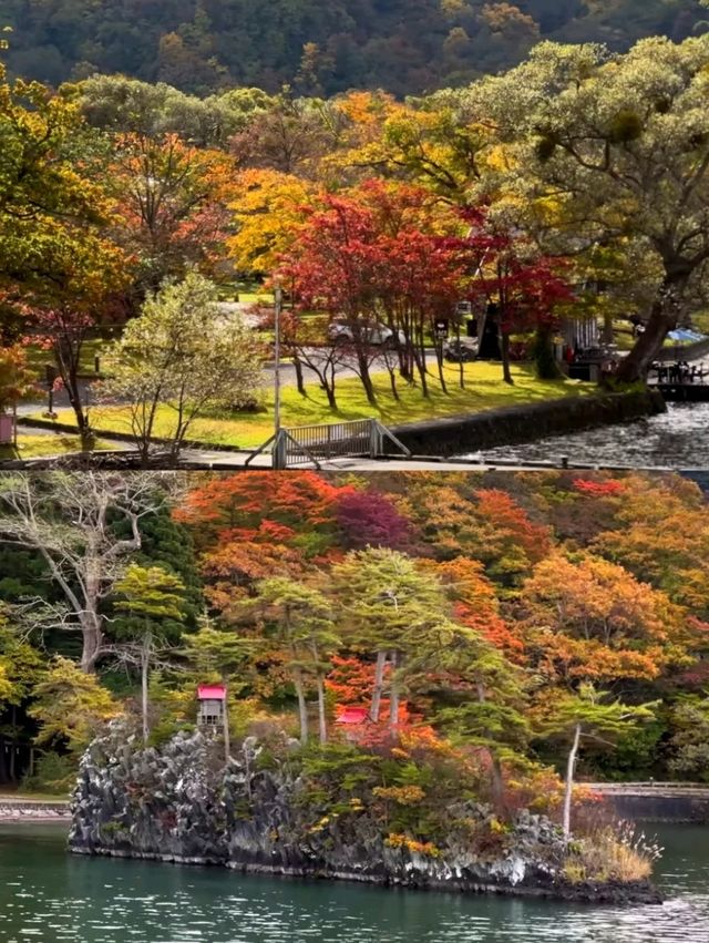 深秋絕景!十和田湖游船仿佛駛入油畫世界🍁 深秋絕景!十和田湖游船仿佛駛入油畫世界🍁