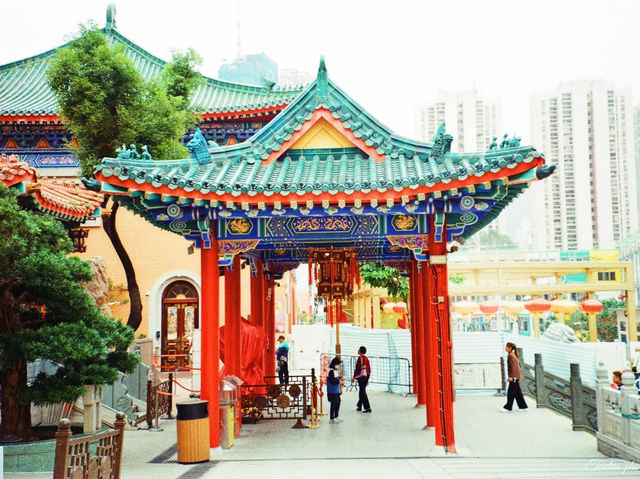 The Luminous Layer: Yuletide in the Temple's Shadow