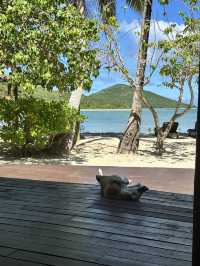 🌴 Fiji’s Hidden Gem: Navutu Stars Resort in Matayalevu