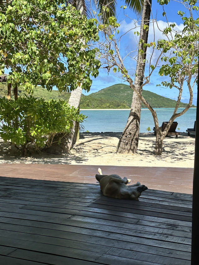 🌴 Fiji’s Hidden Gem: Navutu Stars Resort in Matayalevu 🌴 Fiji’s Hidden Gem: Navutu Stars Resort in Matayalevu