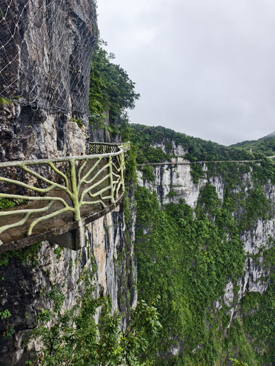 Lost deep in the clouds! Misty Tianmen Mountain, stepping into an