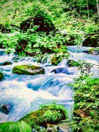 Montenegro Durmitor Black Lake Mossy Bobotov Kuk Ridgeeasytravelpost #Durmitor #BlackLake #BobotovK