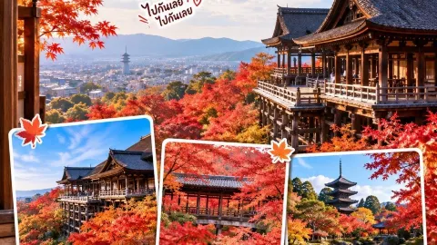 🍁 Kyoto — Một thành phố cổ kính giữa những tán lá phong đỏ rực. — traveler post in Kyoto