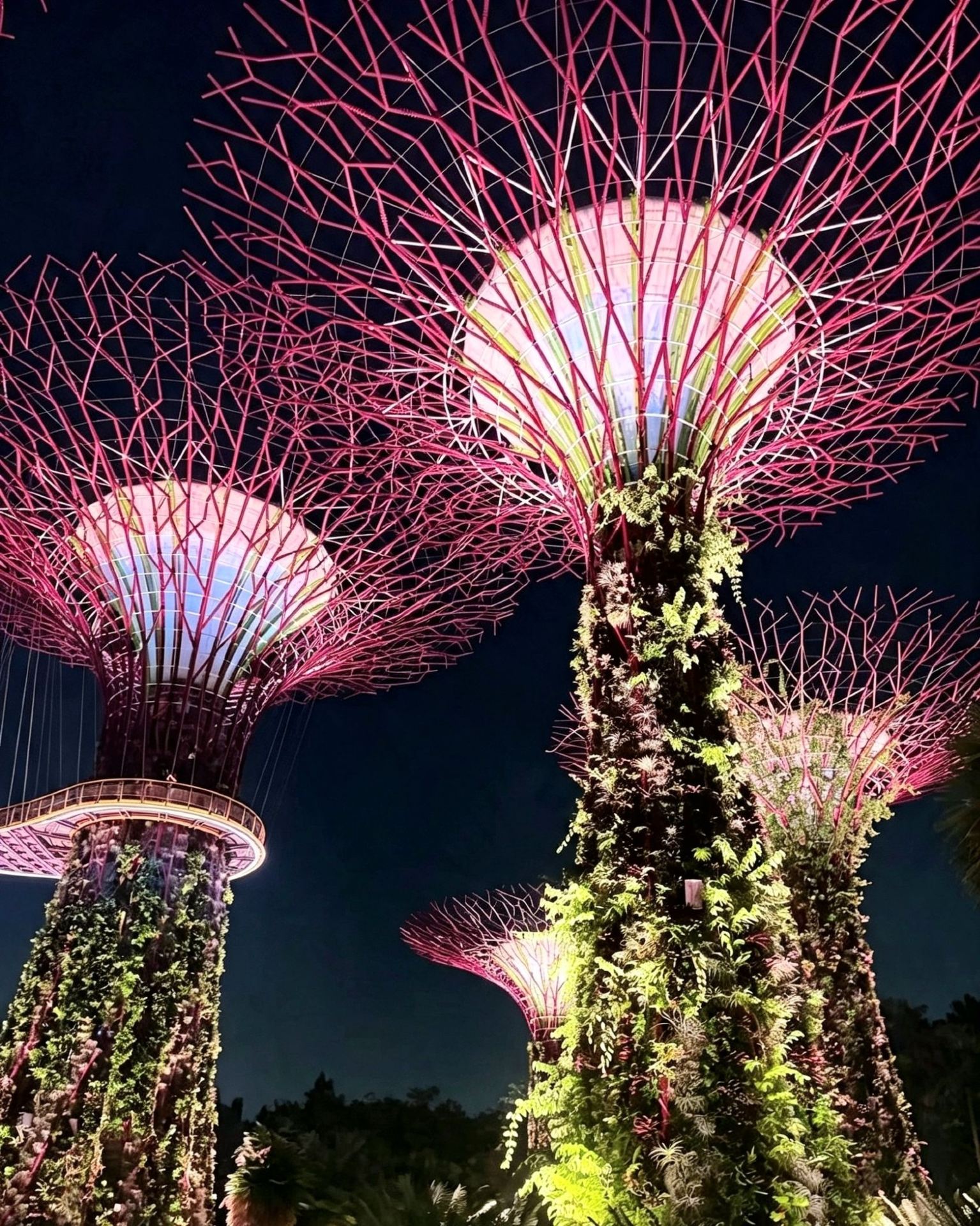 ✨ Hari Saya di Gardens by the Bay — Tempat Alam & Keajaiban Menjadi Nyata! 🇸🇬🌿