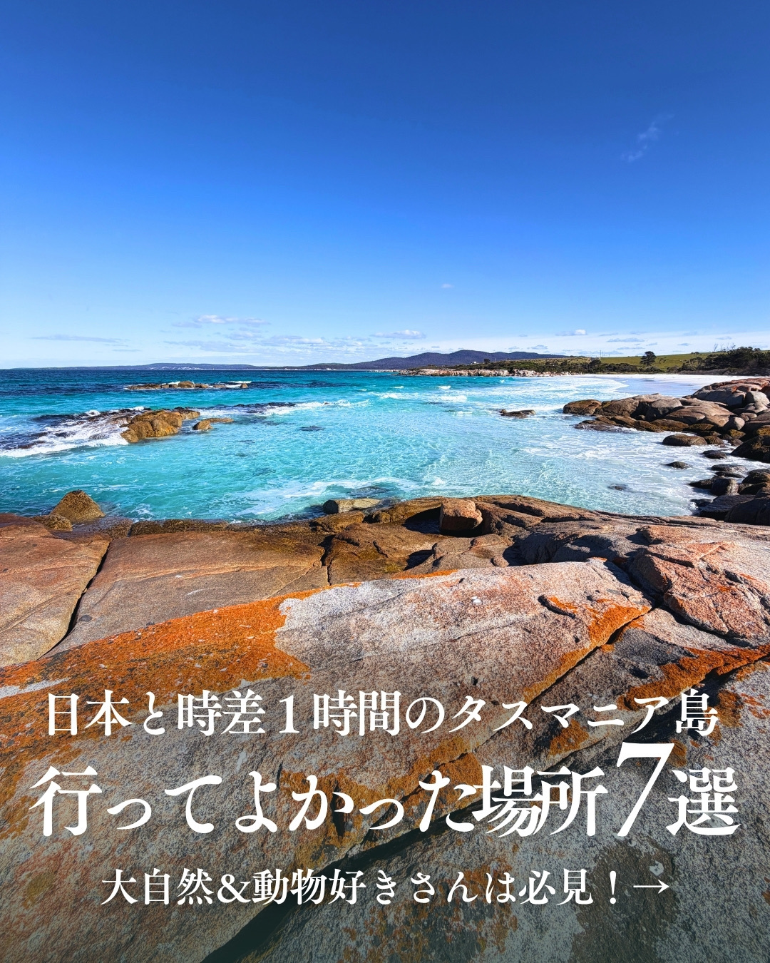 塔斯馬尼亞七大必遊景點🇦🇺