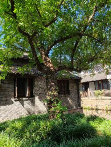 Wuzhen: Beautiful, but Not Every Spot Was Worth the Hype 🏮