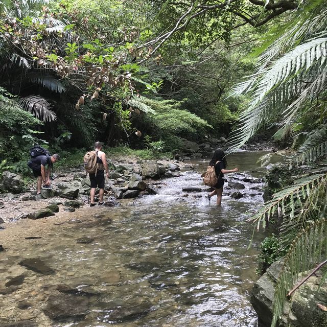 Okinawa Attraction: Ta-Taki Waterfalls