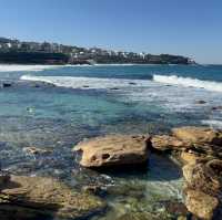 Bondi Beach Babes