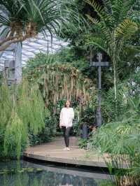 Canopy Park @ JEWEL, Changi Airport