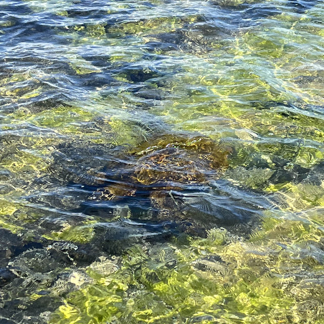 Kona, Hawaii 的迷人景色 Kona, Hawaii 的迷人景色