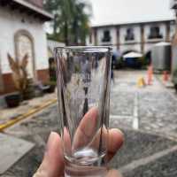 墨西哥-Tequila小鎮龍舌蘭酒廠之旅