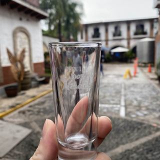 墨西哥-Tequila小鎮龍舌蘭酒廠之旅