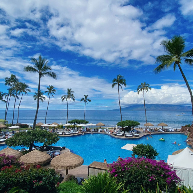 My curated list for Maui 