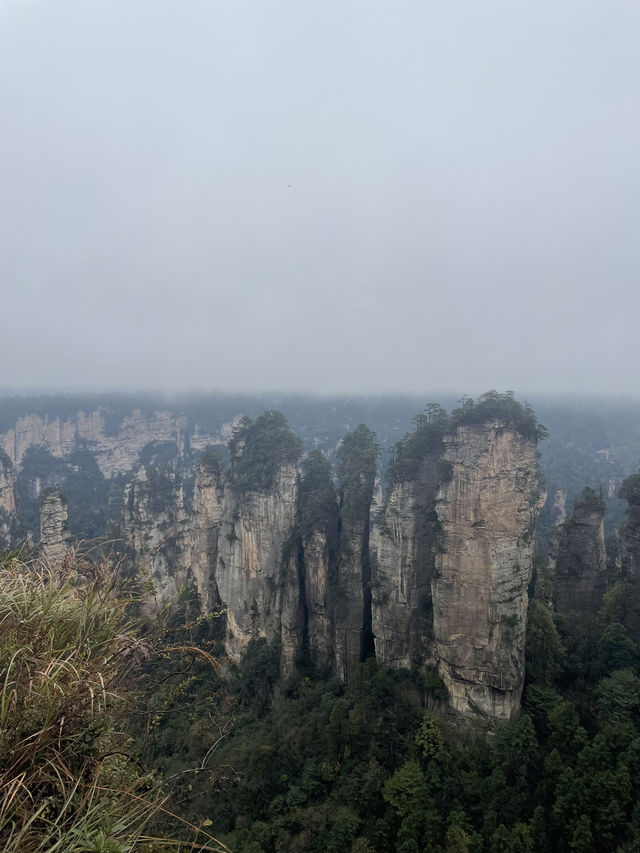 Discovering Zhangjiajie National Forest Park ! 🤗