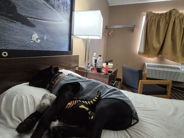 Snuggle Buddy