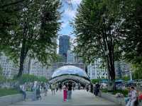 Where Art Meets Nature: The Living Canvas of Millennium Park