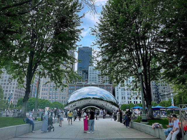 Where Art Meets Nature: The Living Canvas of Millennium Park