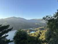🌳【荃灣城門水塘白千層大道】香港森林系打卡熱點！影相超出片 ✨