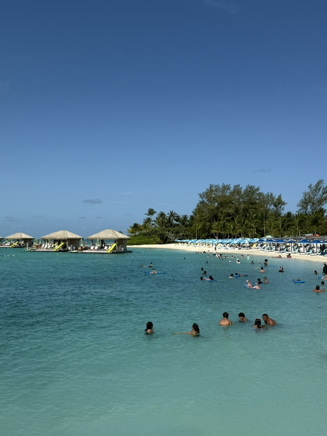 Swim with Pigs & Chill on South Beach Swim with Pigs & Chill on South Beach