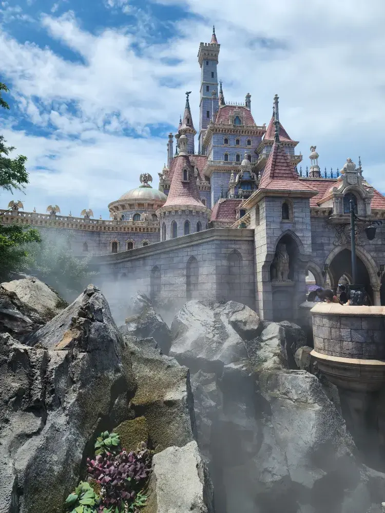 ずっと夢見ていたディズニーランドへ。東京で叶った最高の休日✨