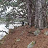 เที่ยว Highland แดนสก็อตที่ Loch an Eilein
