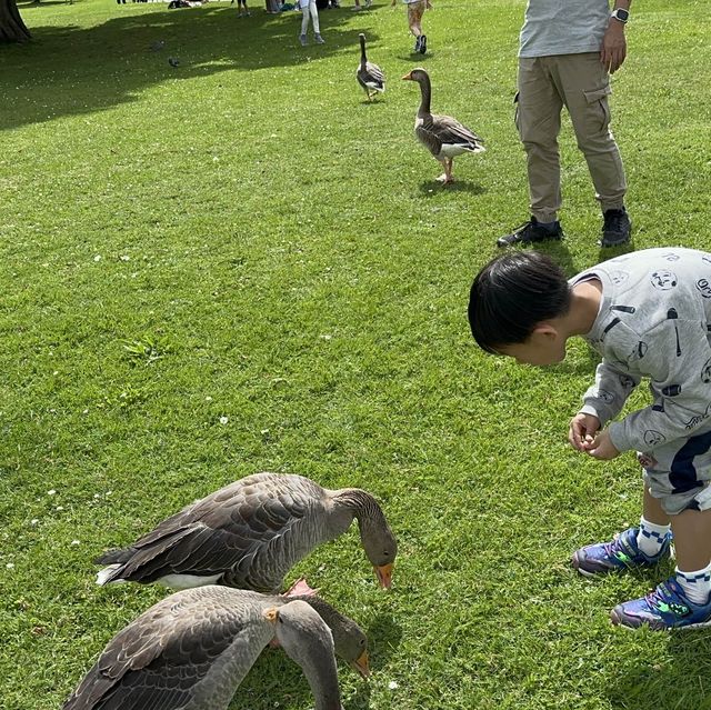 海德公園 Hyde park 