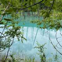 北海道旅行 青い池💙